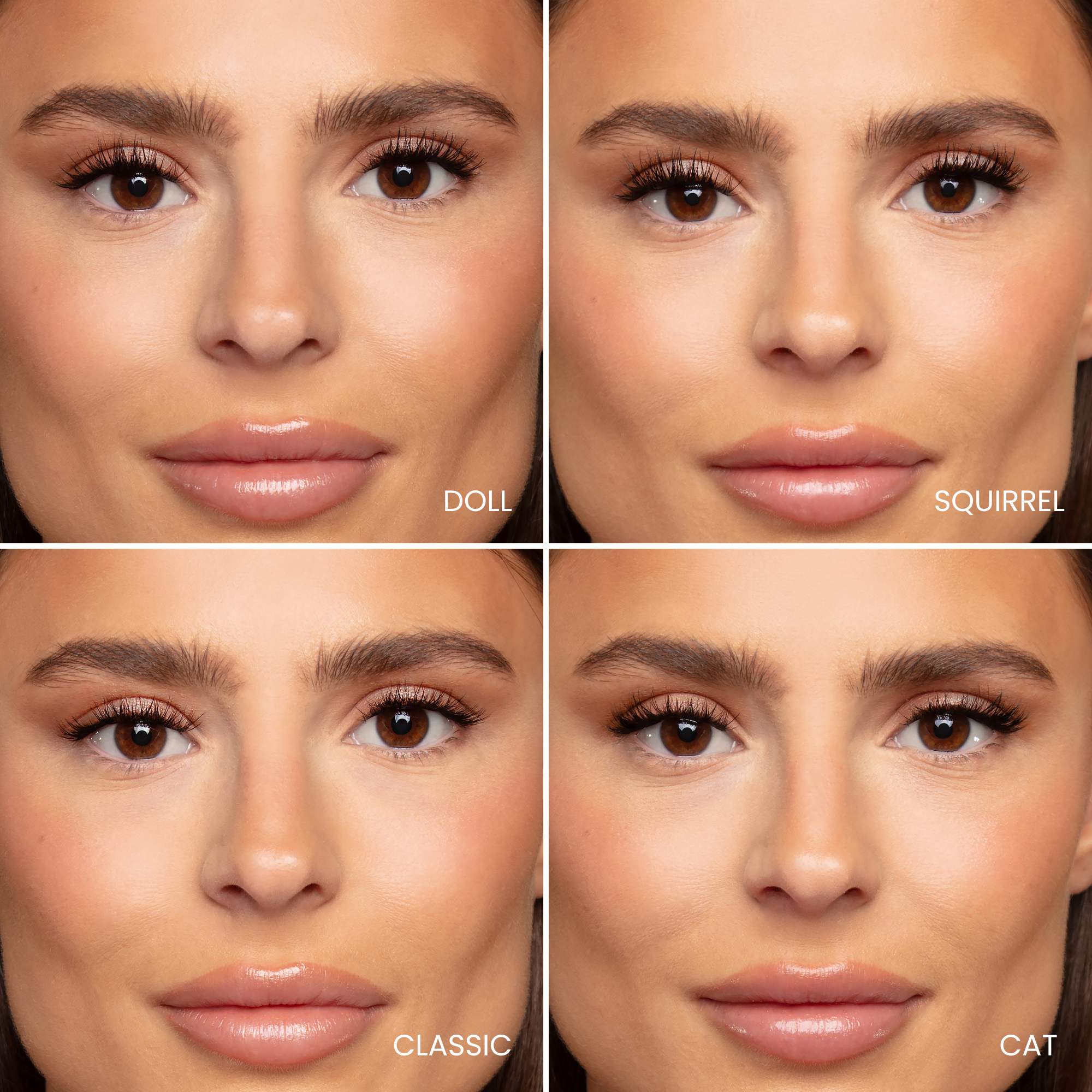 C Curl Trial Pack Black Lash Up Clusters 10mm, 12mm, 14mm Multipack