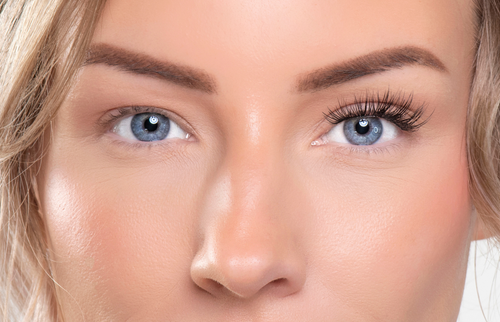 Lash Up Full Size Essentials Kit now with 60 C Curl lashes