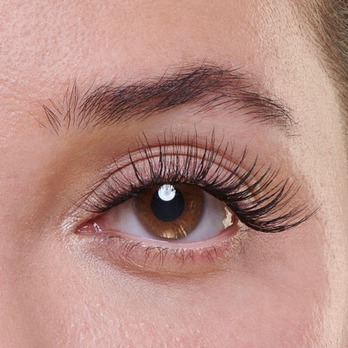 Mink Effect Lash Up Clusters 12mm, 14mm, 16mm Multipack