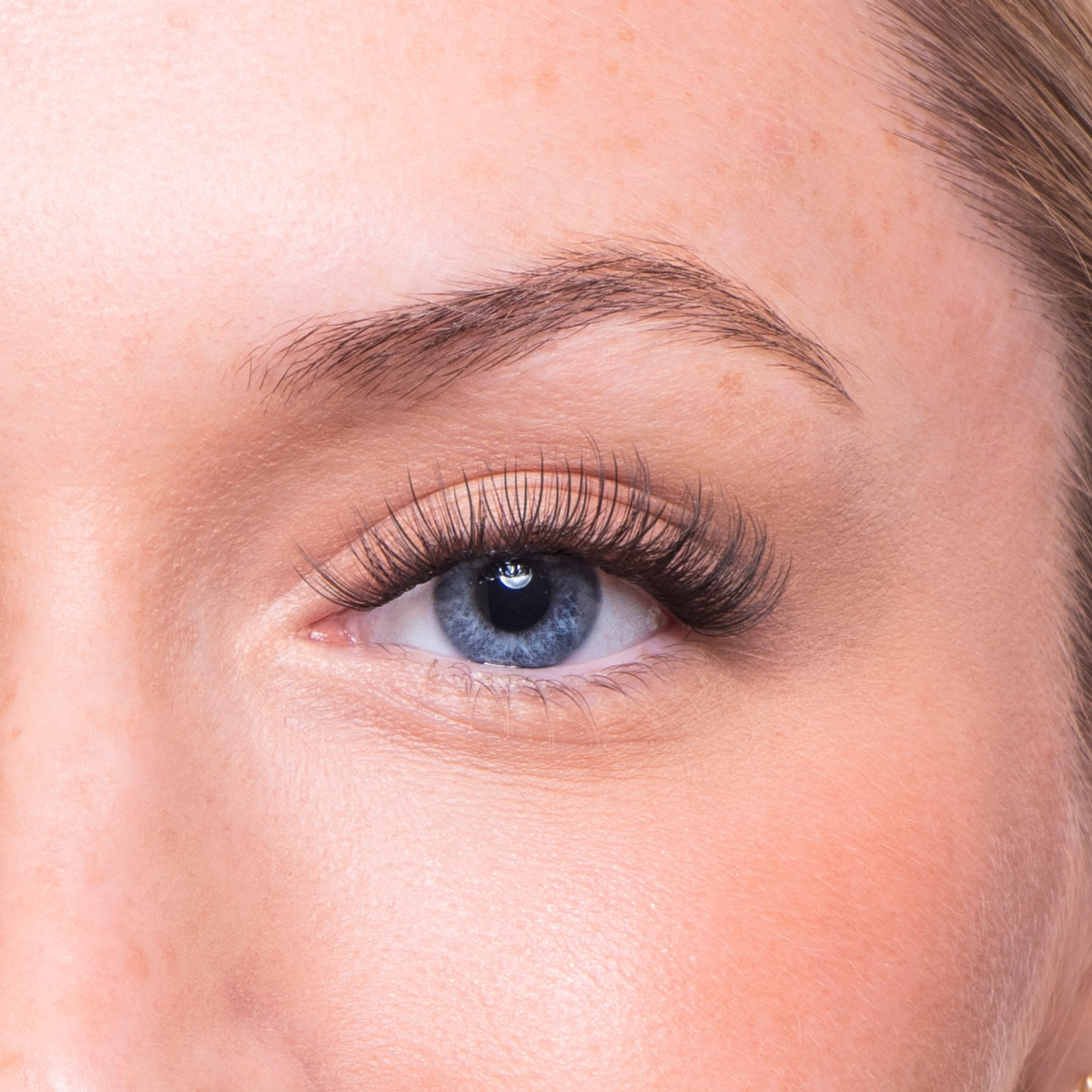 Lash Up Press-On Clusters - Classic Volume